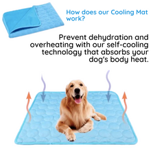Load image into Gallery viewer, A golden retriever sitting happily on a blue cooling mat – made to soak up body heat and stop overheating.