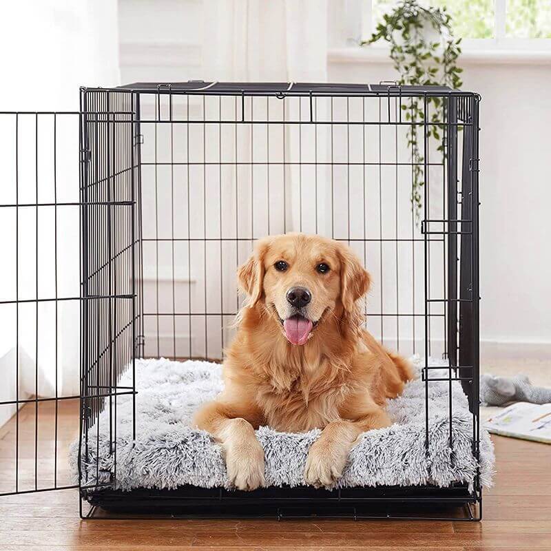 MrFluffyFriend - Best Orthopedic Dog Pillow