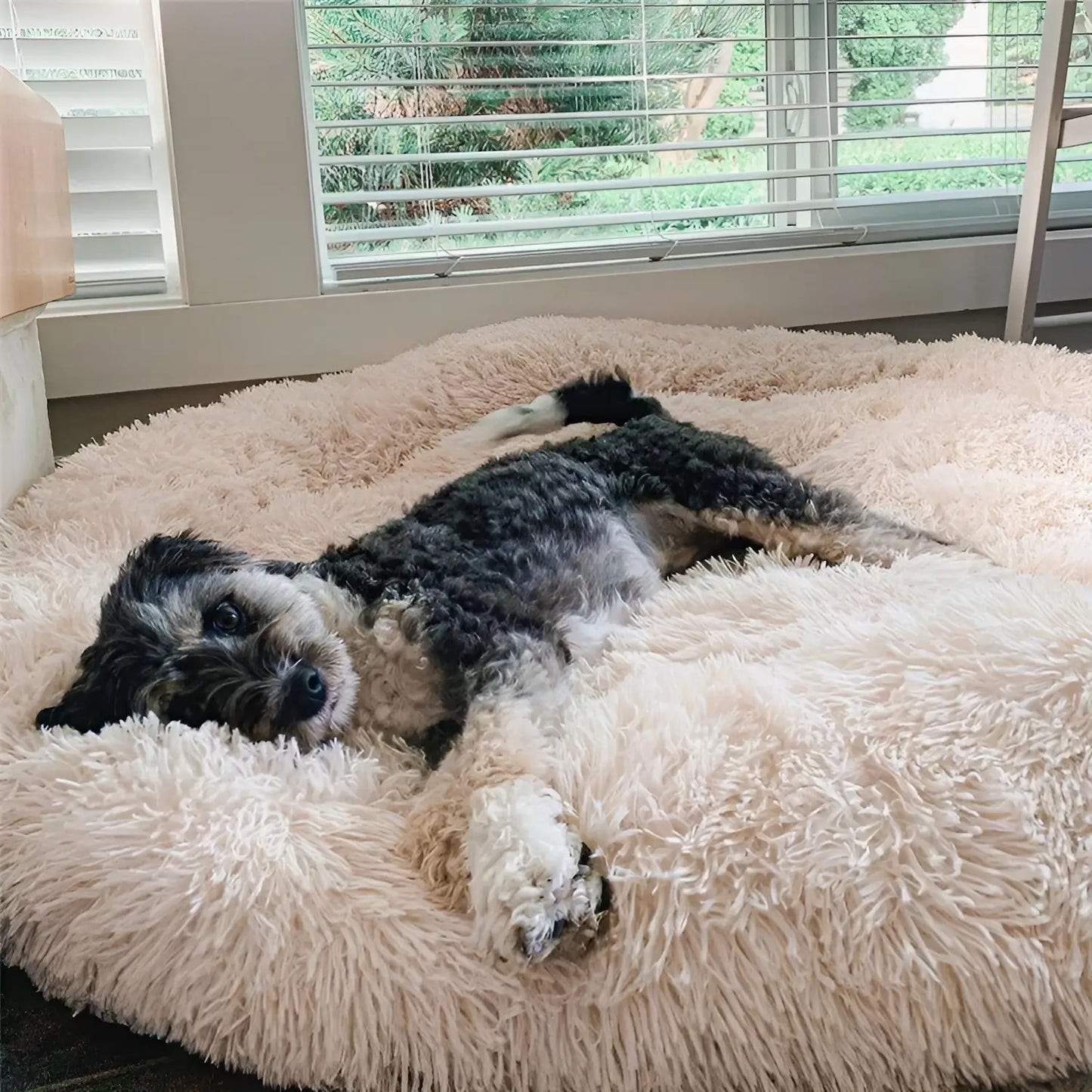 MrFluffyFriend™ - World's #1 Anxiety Relieving Dog Bed