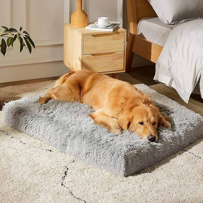 MrFluffyFriend - Best Orthopaedic Pillow for Dog