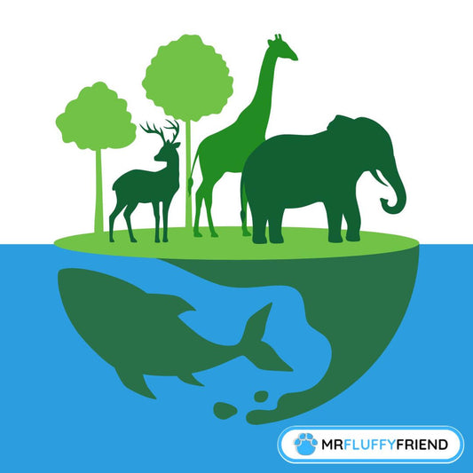 world animal day history and importance