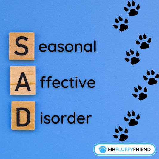 Can pets get the winter blues?