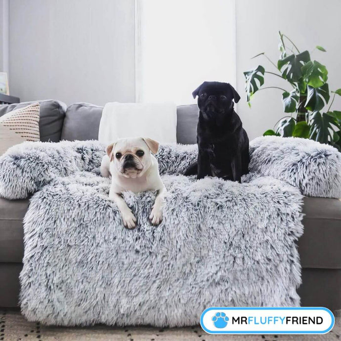 Best Sofa Fabric for Dogs: A Complete Guide