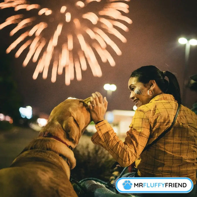 Tested Tips: How to Soothe Your Dog During Fireworks