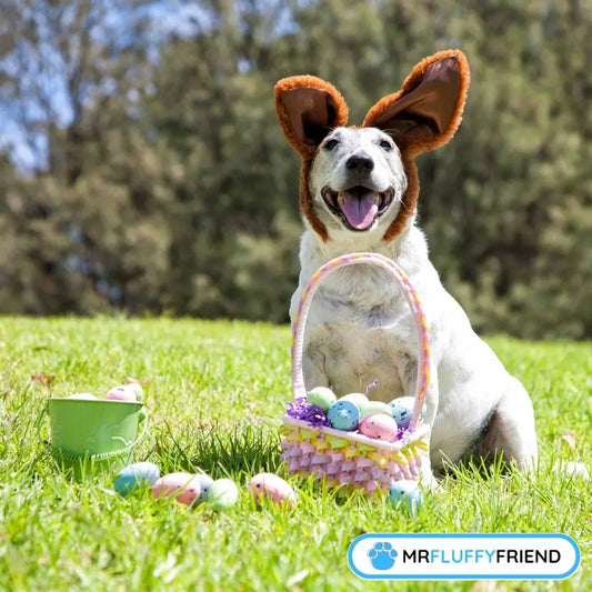 featured image to a blog about dog easter basket