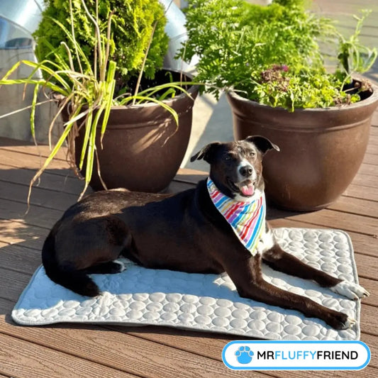 A cheerful black dog chillin’ on a grey cooling mat, rockin’ a colourful bandana, surrounded by potted plants on a sunny wooden deck.
