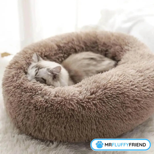 Featured image: fluffy cat snoozing in a cosy round beige bed — fits the topic “Do cats have bad dreams?”