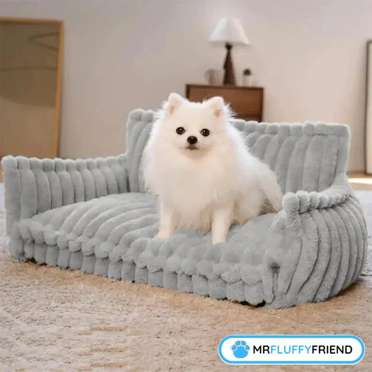 Fluffy little white dog sitting on a soft grey dog sofa indoors