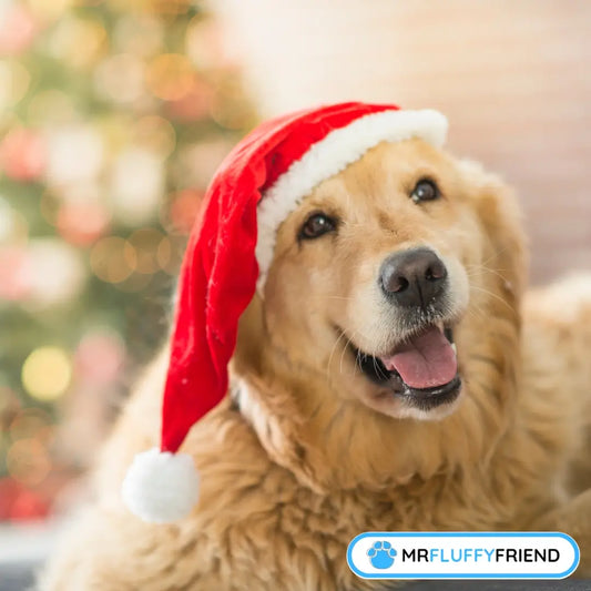 Featured image for blog "Dogs at a British Christmas: Festive walks, fairs, and fun" with a Golden Retriever wearing a Santa hat, smiling with a blurred Christmas tree in the background