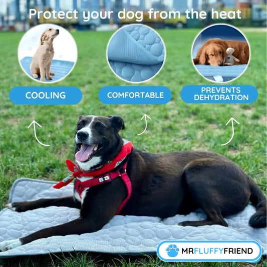 Happy dog on a MrFluffyFriend cooling mat showing how a dog cooling mat works to help prevent hyperthermia in dogs