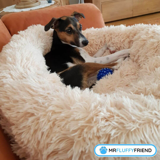 anxiety-relieving pet bed