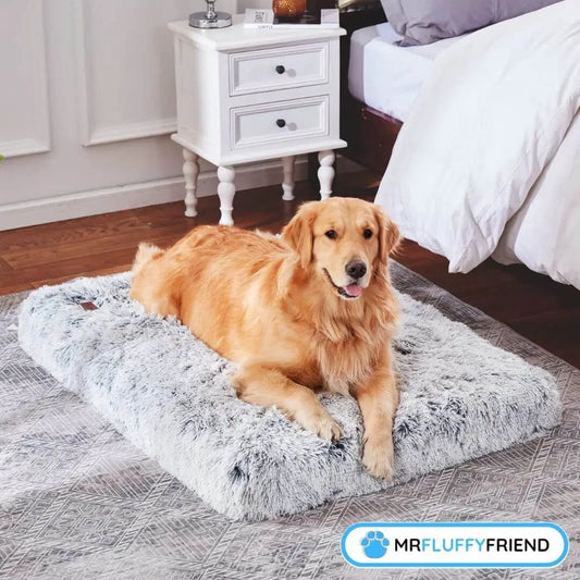 Featured image for a blog about the best dog bed for senior dogs with arthritis showcasing a golden retriever lying on a soft, plush grey orthopaedic pillow.