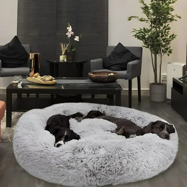 Why dog lovers choose MrFluffyFriend