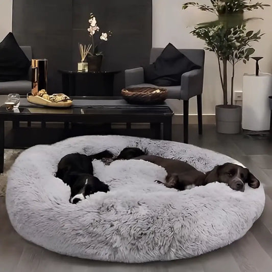 8 Reasons Why Dogs With Separation Anxiety Are Finding Their Inner Puppy Again, Thanks To This Bed