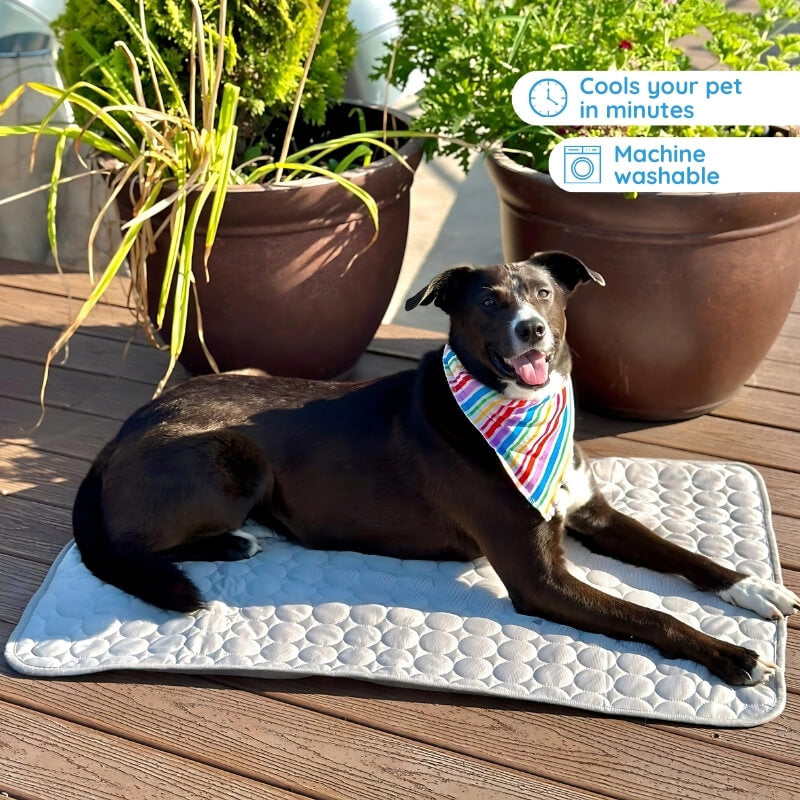 MrFluffyFriend™ - Cooling Mat for Dogs
