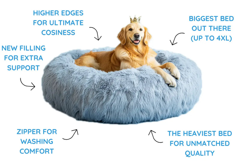 <strong>5 reasons to choose</strong> <br><em>the King of Fluffy Beds</em>