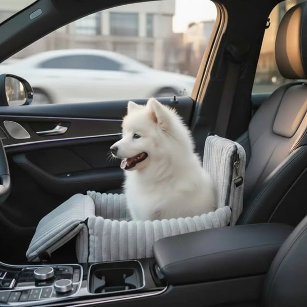 Make every car ride safe & comfortable for your dog