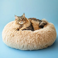 Photo of Calming cat bed
