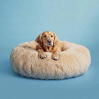 Photo of Calming dog bed