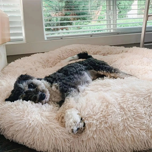 MrFluffyFriend - Premium Stress Free Beds for Dogs