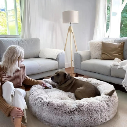 MrFluffyFriend - Best Stress Free Beds for Dogs
