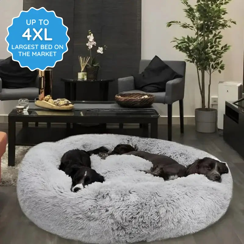 Two dogs laying on a large, washable dog bed
