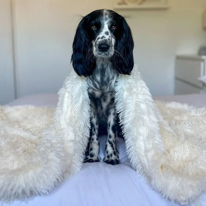 MrFluffyFriend™ - Anxiety Relieving Fluffy Pet Blanket