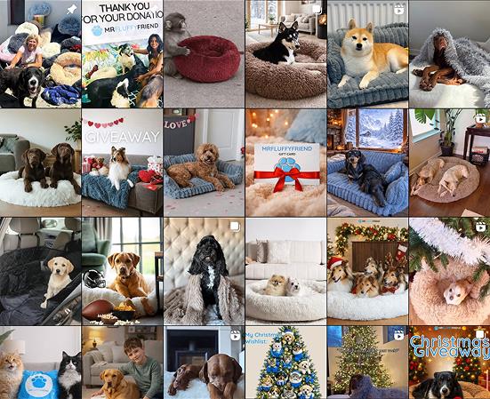 Collage of customer-submitted photos of pets (dogs, cats) on MrFluffyFriend products
