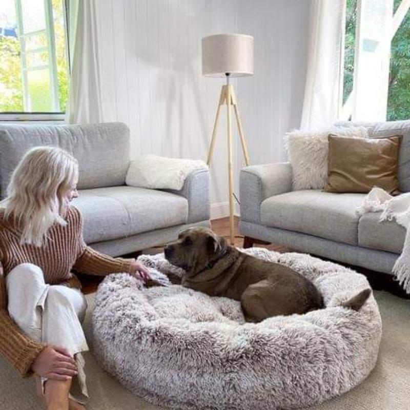 Anxiety-free Dog Bed from MrFluffyFriend