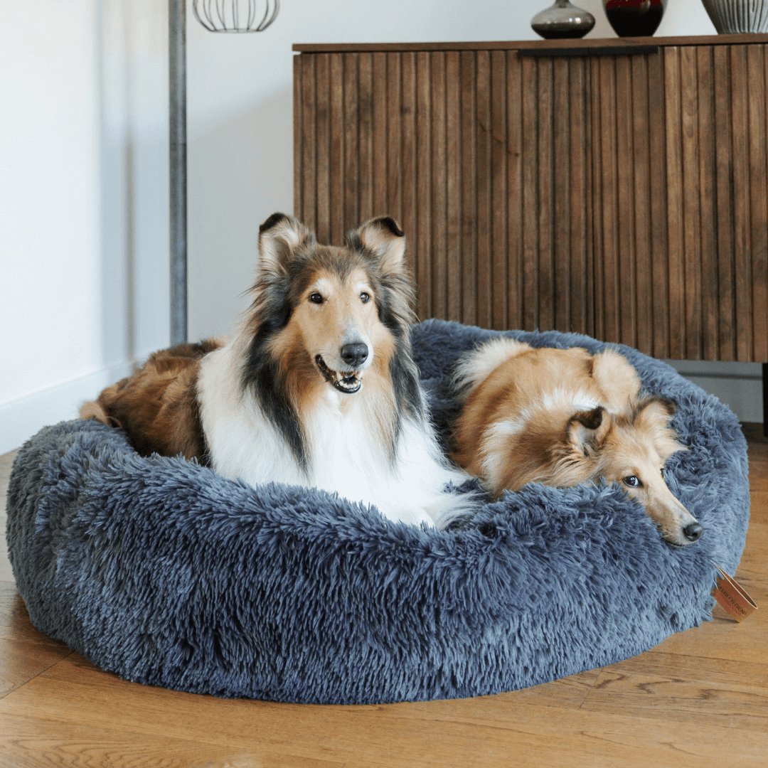 MrFluffyFriend - Best Stress-free Bed for Large Dogs