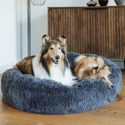 MrFluffyFriend - Best Stress-free Bed for Large Dogs