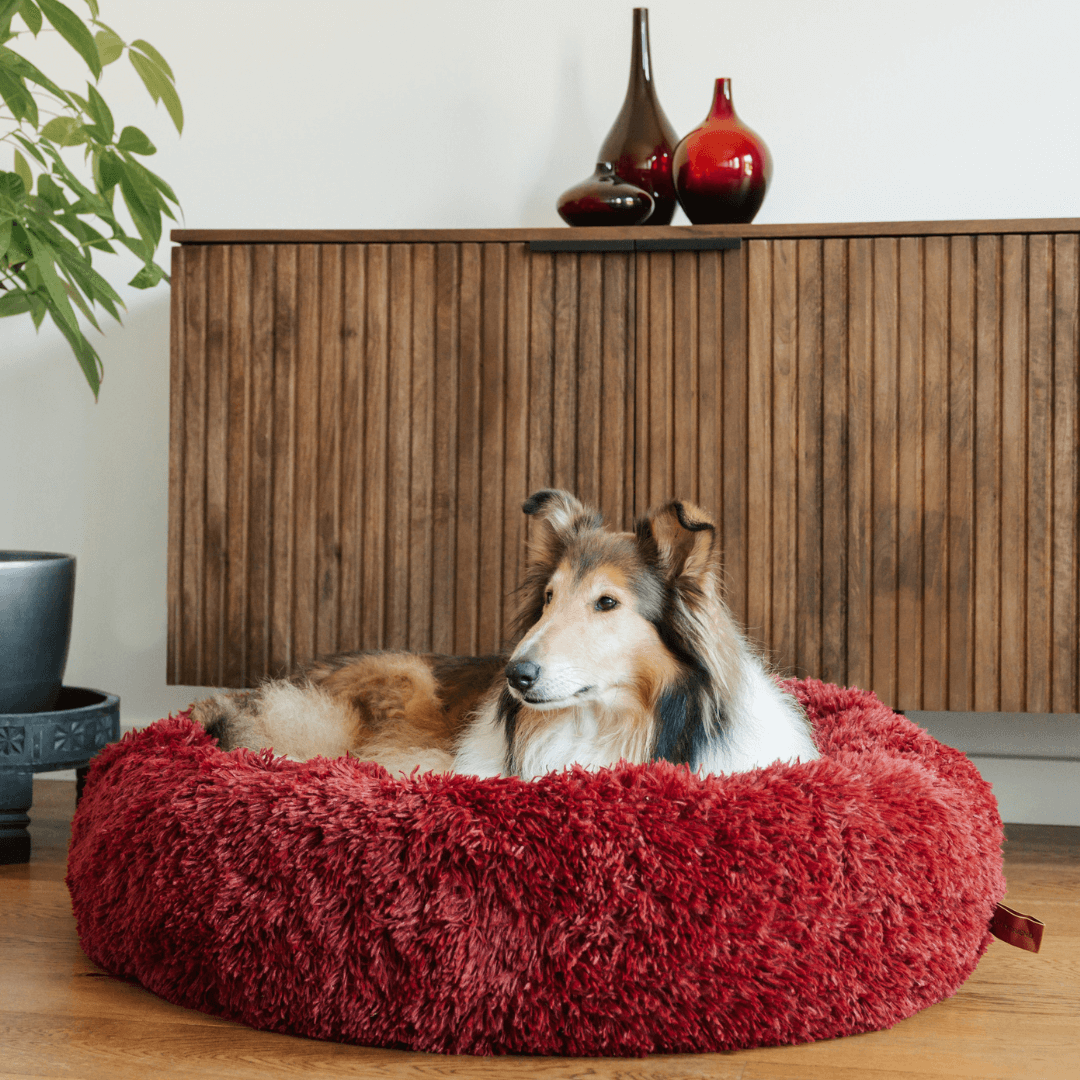 MrFluffyFriend™ - World's #1 Anxiety Relieving Dog Bed