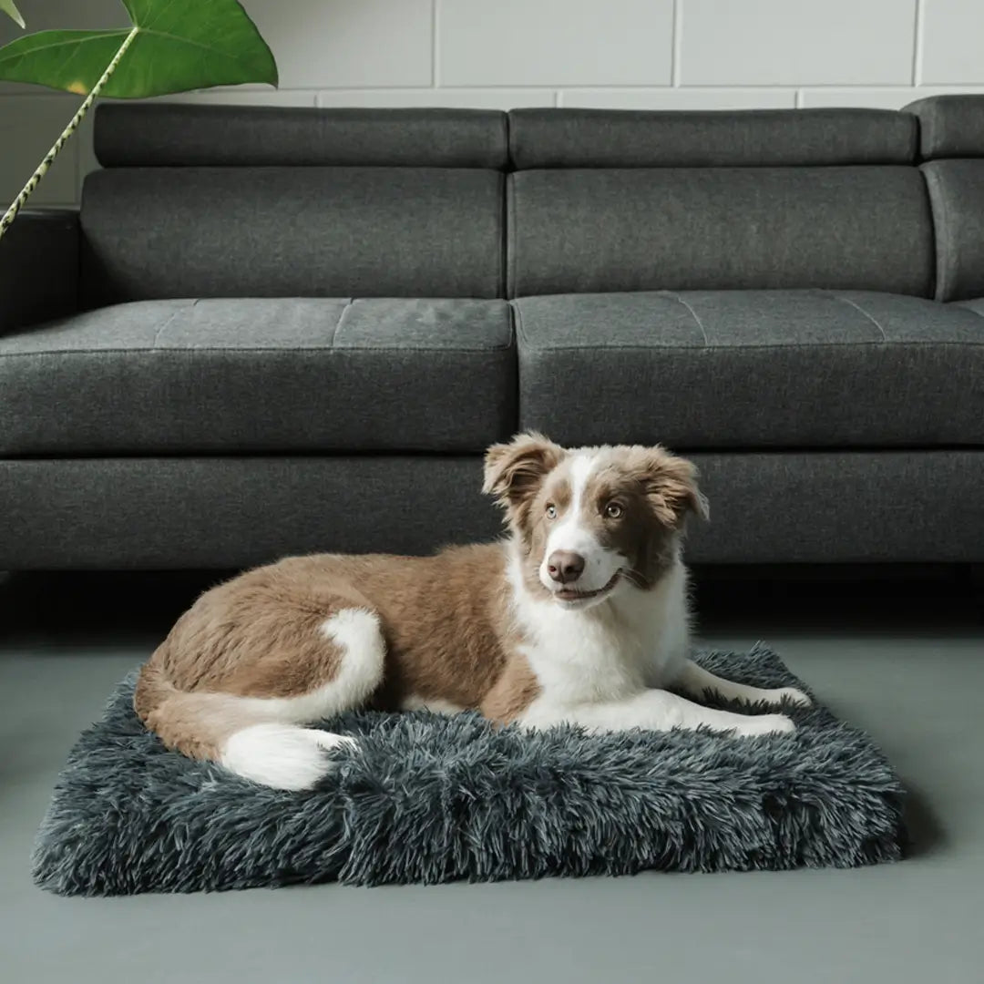 MrFluffyFriend - Orthopedic Dark Grey Pillow for Dogs