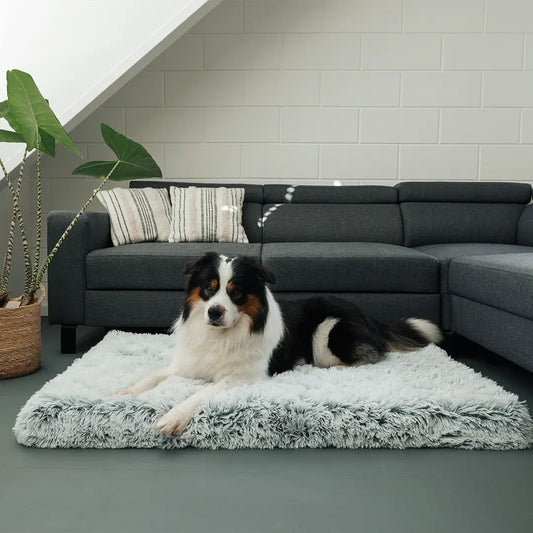 MrFluffyFriend - Orthopedic Dog Pillow for Medium Sized Breeds