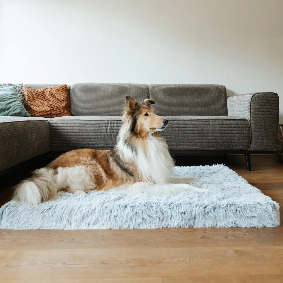 MrFluffyFriend - Orthopedic Grey Pillow for Dogs