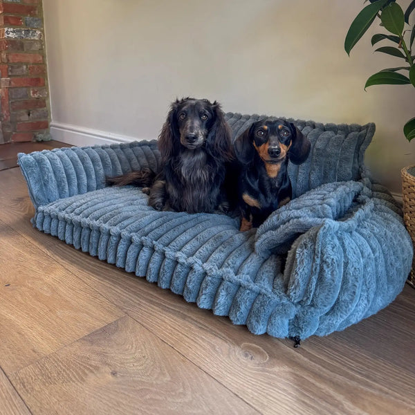 Do you want to give your dog the comfort he deserves?