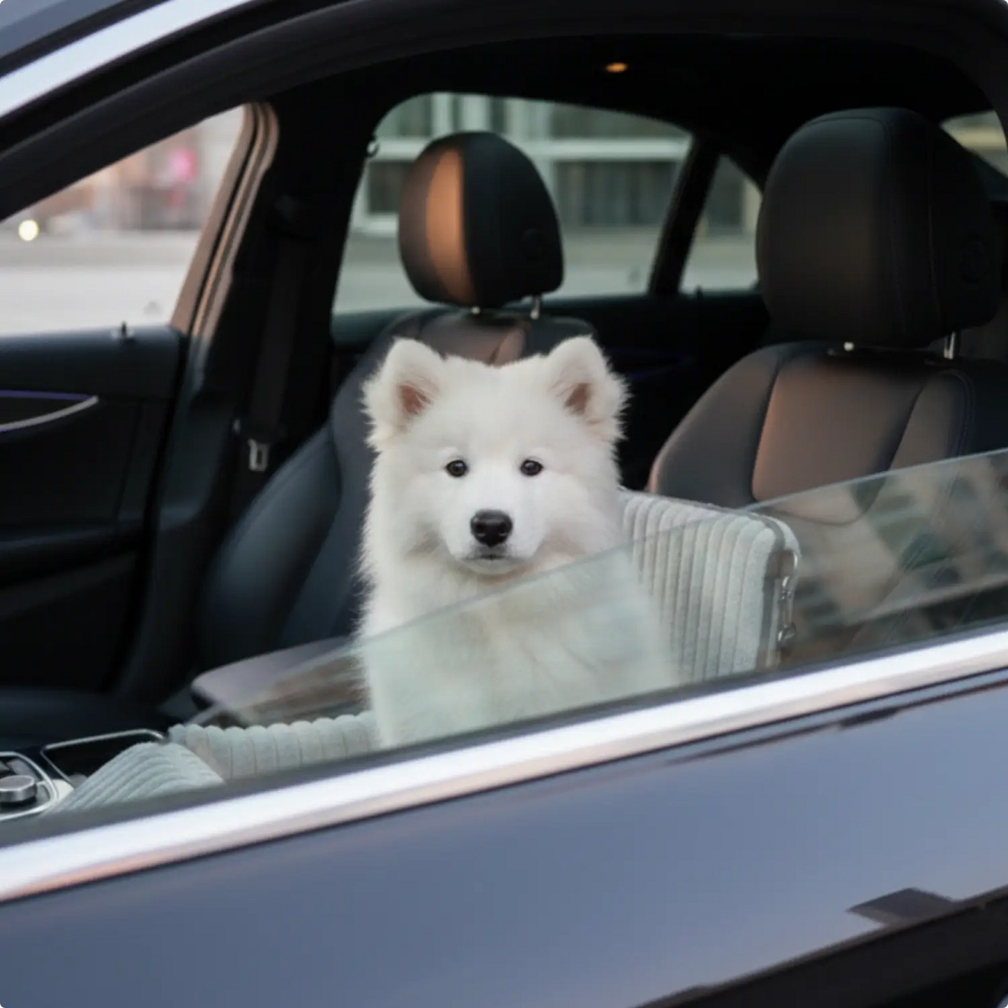 MrFluffyFriend - Fluffy Car Seat for Dog