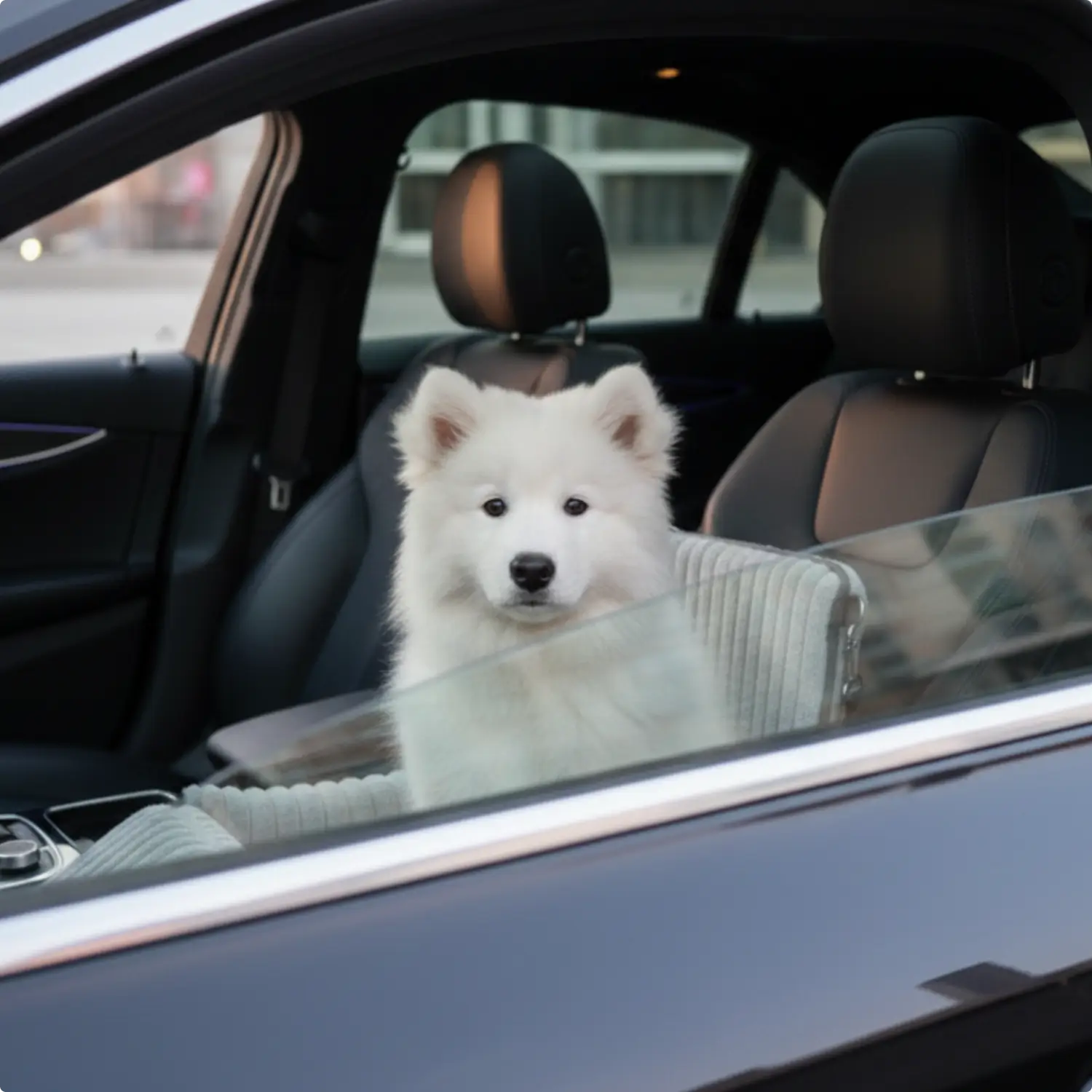 MrFluffyFriend - Fluffy Car Seat for Dog