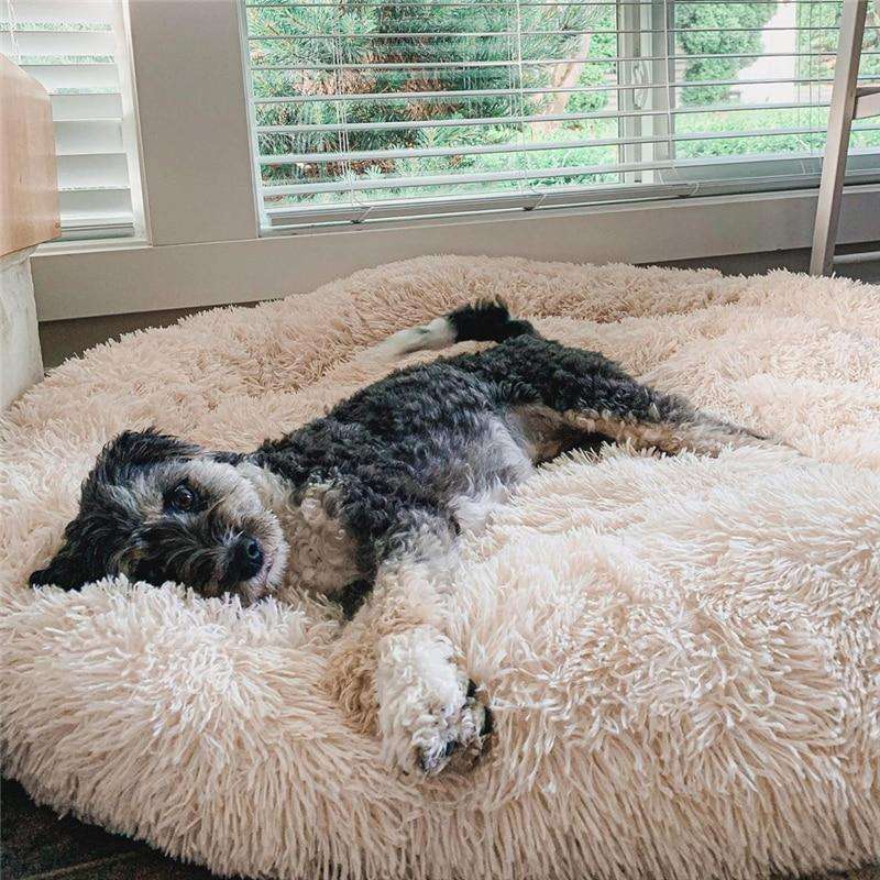 MrFluffyFriend - Premium Stress Free Beds for Dogs