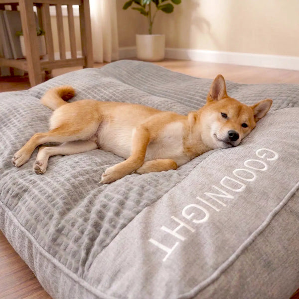Why Dog Owners Love It: