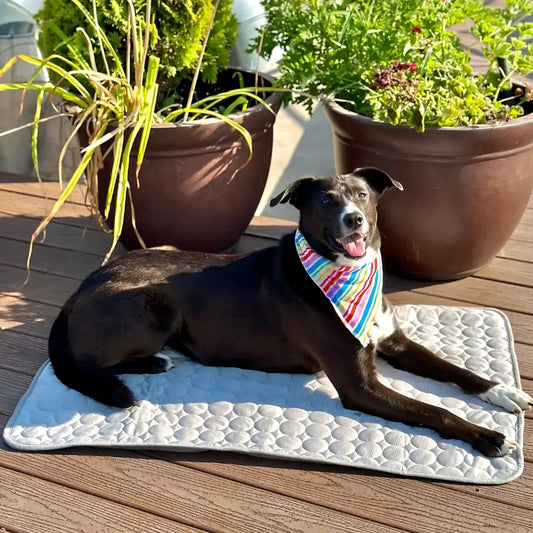 MrFluffyFriend™ - Cooling Mat for Dogs