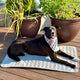 MrFluffyFriend™ - Cooling Mat for Dogs