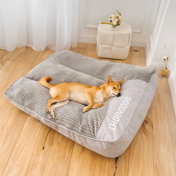3 Out of 4 Dogs Sleep Wrong