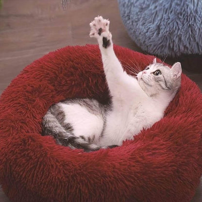 Playful gray and white cat with raised paw lounging in a soft red anxiety relieving cat bed