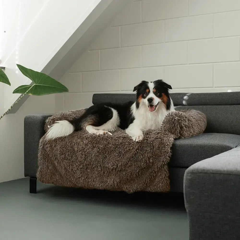MrFluffyFriend™ - Fluffy Sofa Cover for Dogs and Cats
