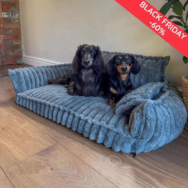 Do you want to give your dog the comfort he deserves?